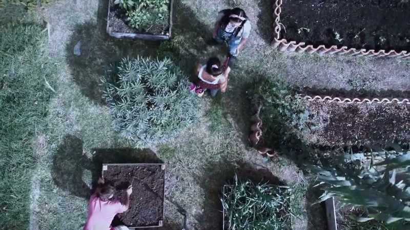 Just be sure to plant seasonal crops