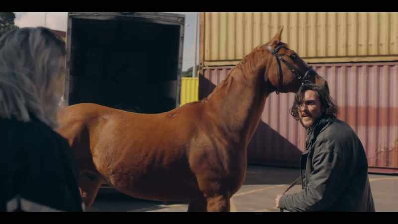 Just get outta here! [HORSE NEIGHS]