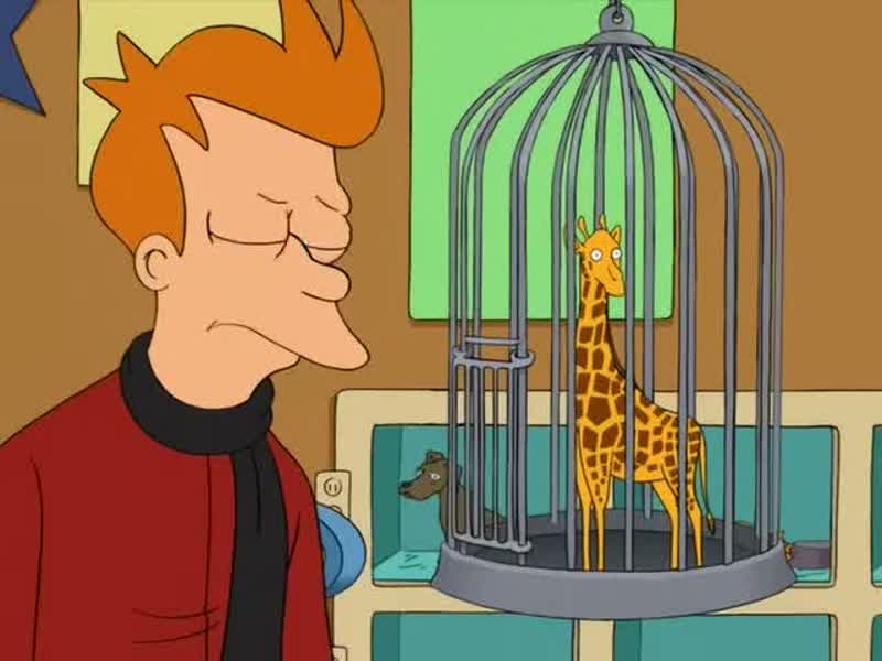 Just give me your best animal