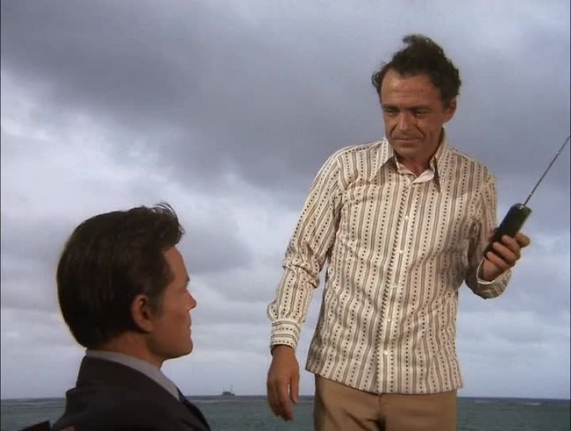 JUST HOLD IT, McGARRETT