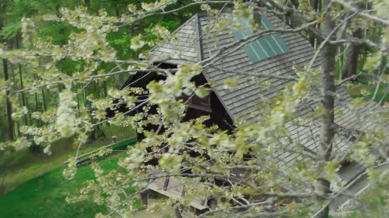 Just as iconic as the trees