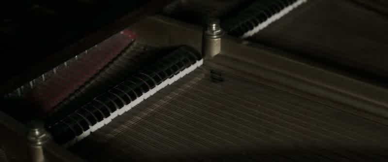 Just like musicthere's something else you can't see with your eyesSomething that lives deep inside youSomething those morning injections take awayBut I thought the injections are for our healthNo they