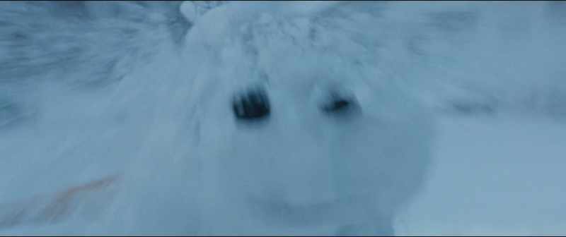 Just your nose and then we're done, Mr. Frost