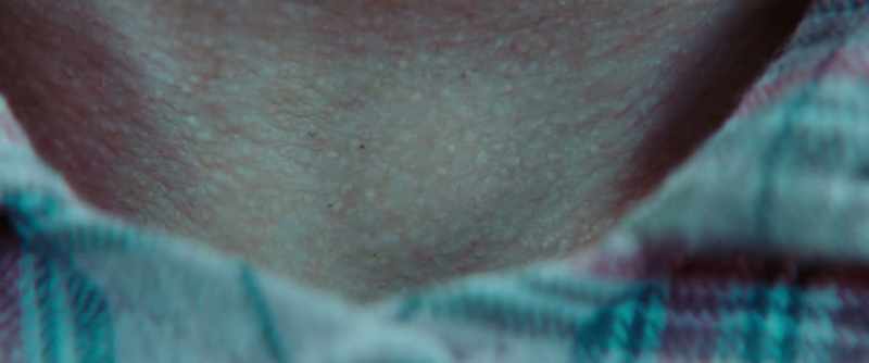 Just pheromones