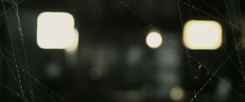 �� Just say you'll wait ♪ ♪ You'll wait for me ♪