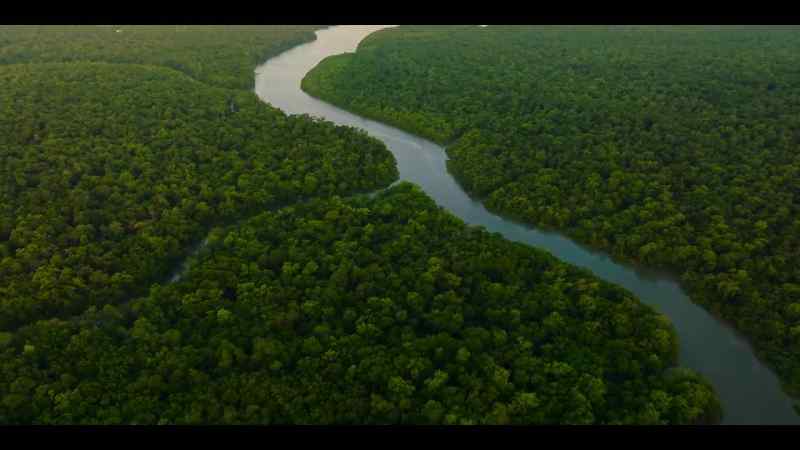 Just as the Atlantic influences life in the Amazon