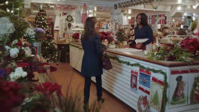 Just the poinsettia, please