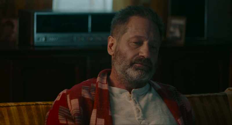 Just universal blanket apology