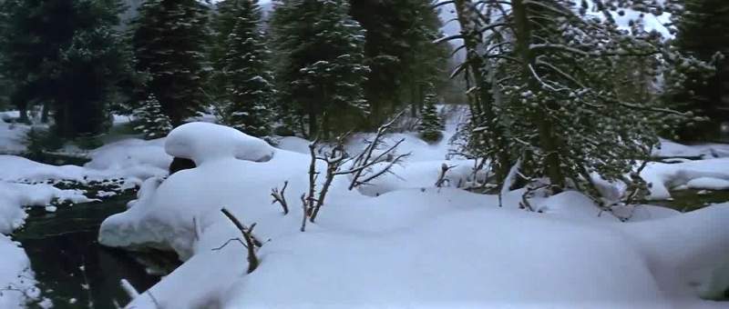 Just where is it I could find bear