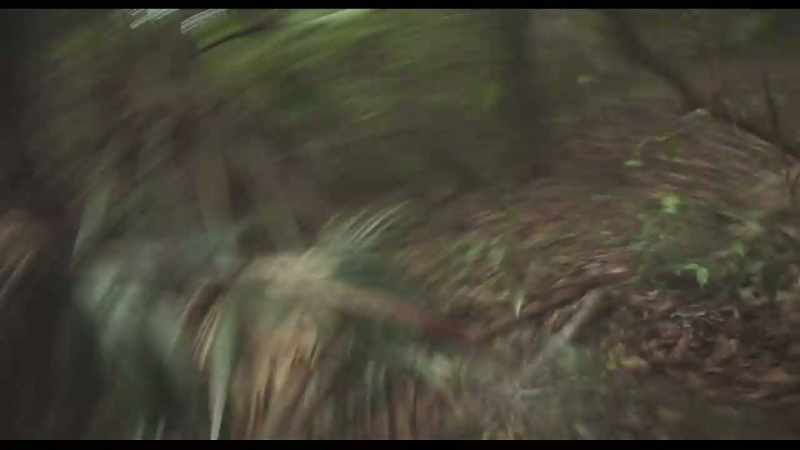 Kait, where are you going?!