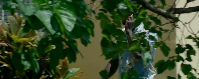 Kaita, this is Abdoulaye