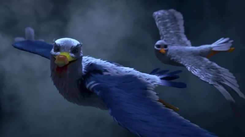 Kalifa, you are some kind of bird
