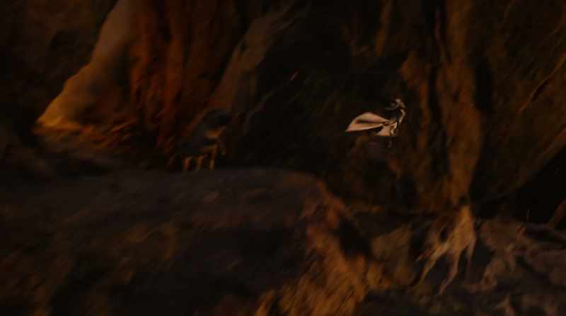KAMARI: Get that bird! - (ZAZU GRUNTS)