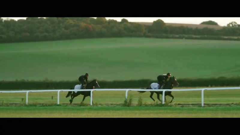 Kameko's final outing will determine his stud fee