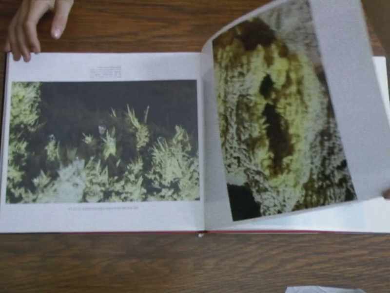 Katia catalogues their images