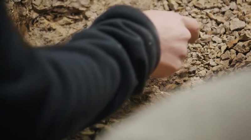 Katie: LOOK AT THE SERRATIONS, YOU GUYS, THAT'S CRAZY