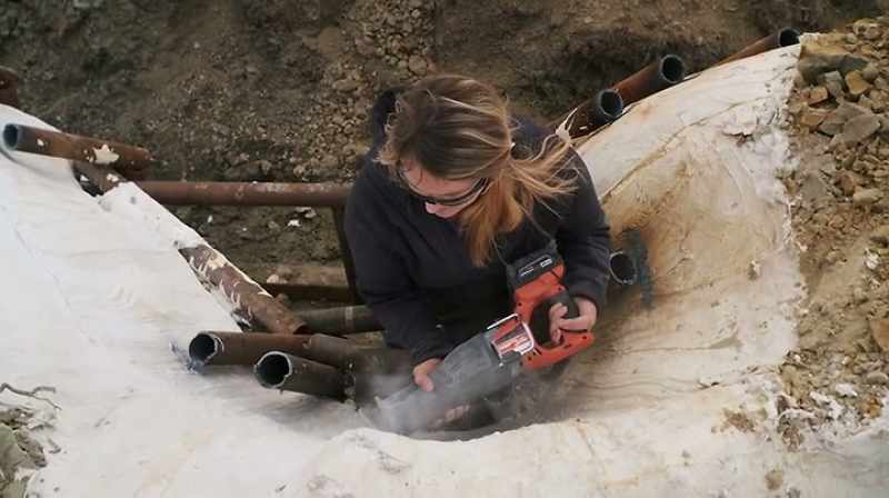 Katie: WE ARE CUTTING JUST ABOUT A FOOT DOWN