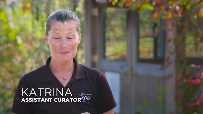 Katrina: Our three tasmanian devils, mustard