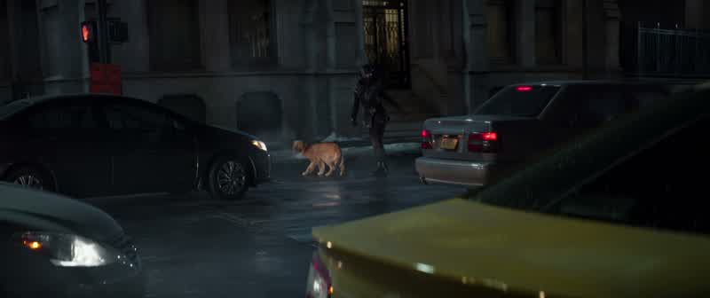 Kazi! Kazi! -We gotta go! -MAN 2: Let's go, bro! Kazi! We go now! Come on! Let's get to the van and