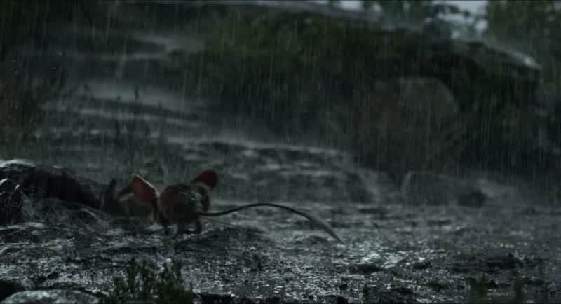 Keep it dry keep it dry keep it dryThese quills get stuck on everything