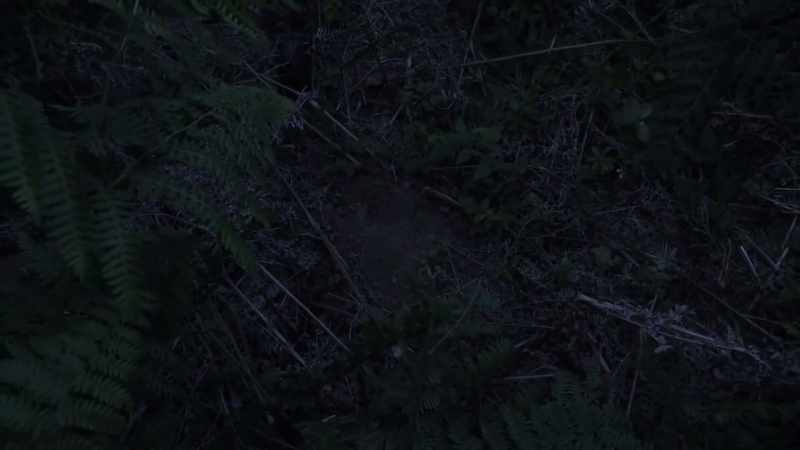 Keep looking for anything else that might seem out of place