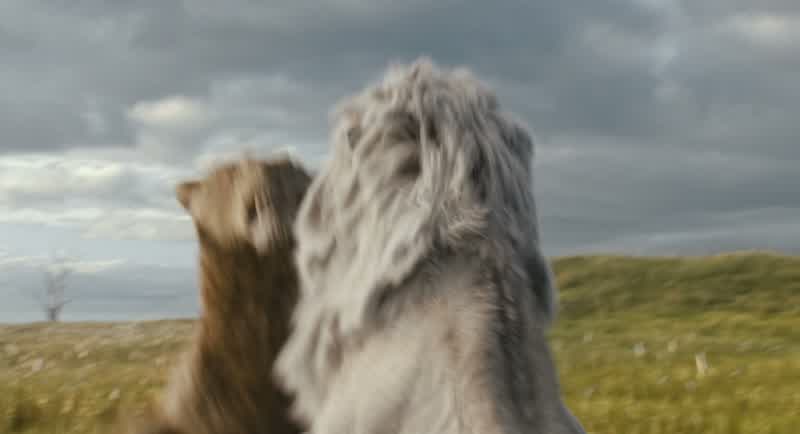 Keep moving, Mufasa
