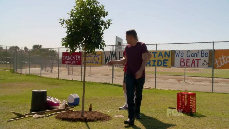 Keep watering that tree