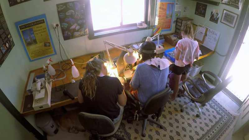 Kelly Tishler finally has her shining light