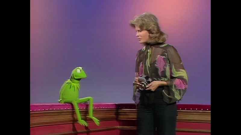 Kermit, he ate my camera