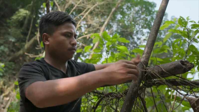 Khongthaw: Building a root bridge is, like