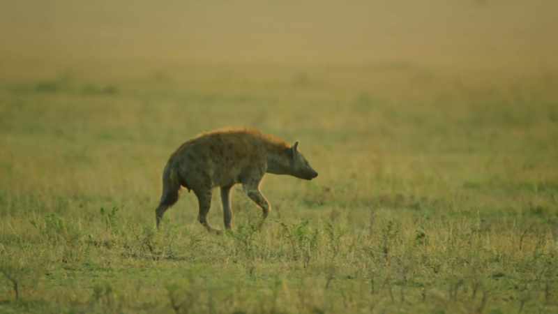 Kike may be a first-time mother