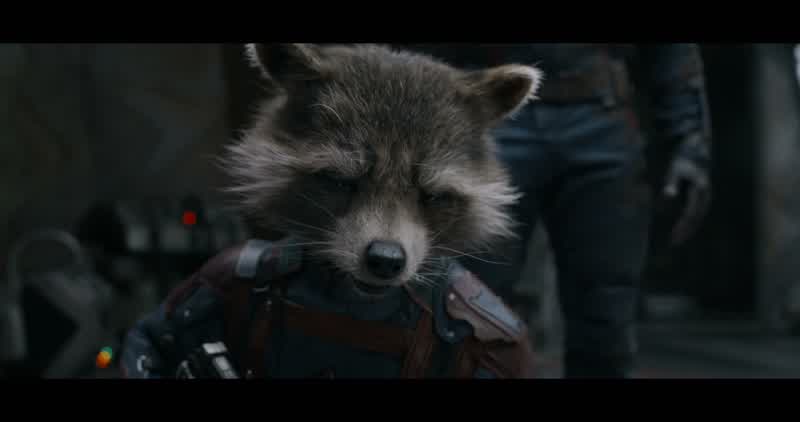 Kill himWhyBecause I'm a freaking Guardian of the Galaxy