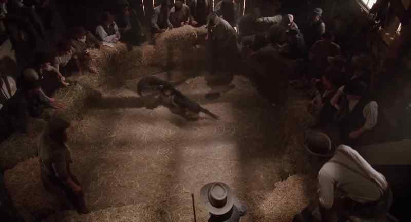 Kill him! Tear him up, wolf! Tear him up!