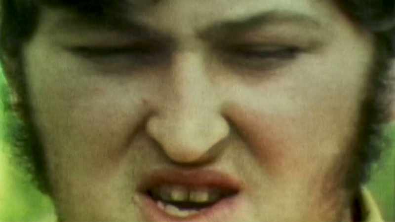 Kind of a rectangle-shaped head, he had two eyes