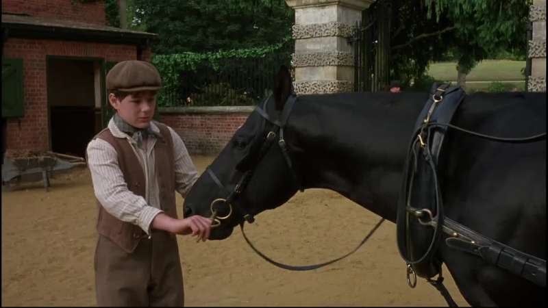 Kind treatment makes good horses Joe