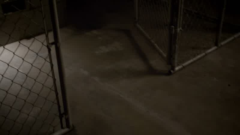 What is that?