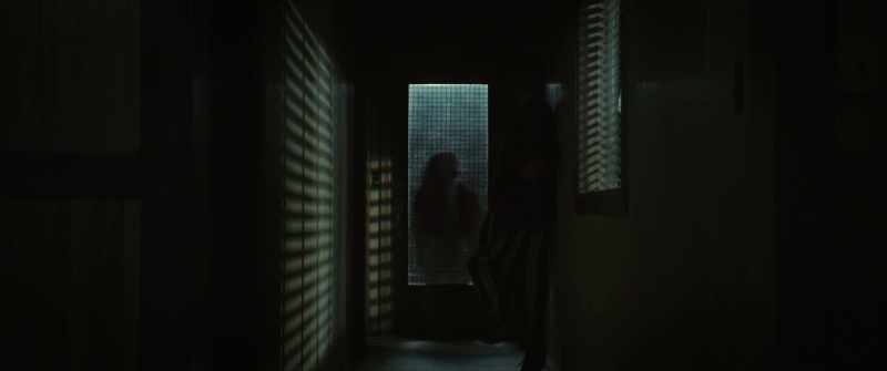 [knock on door]