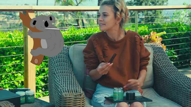 Koala Smokes, Koala Dabs, Koala Puffs?