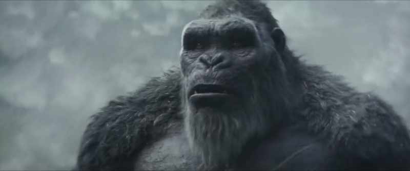 [Kong growls]