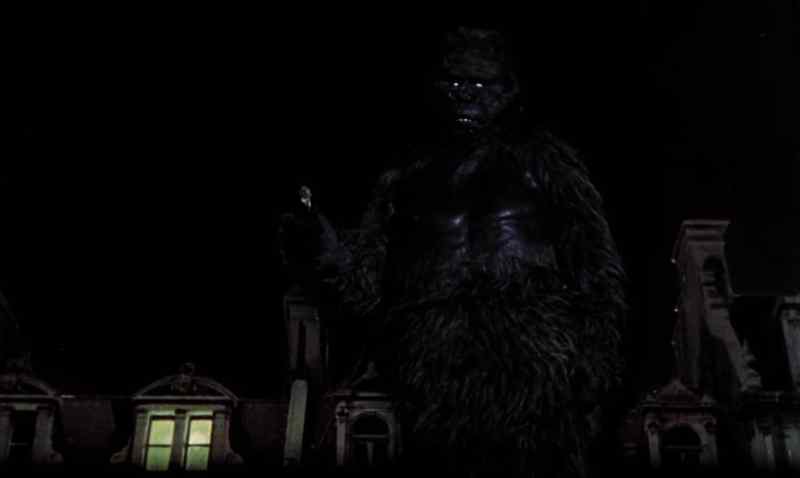 Konga, put me down. Please. Put me down