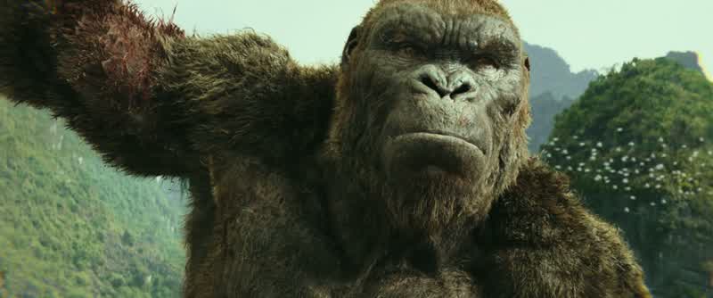 Kong's a pretty good kingKeeps to himself mostlyThis is his home We're just guests hereBut you don't go into someone's house and start dropping bombsunless you're picking a fight