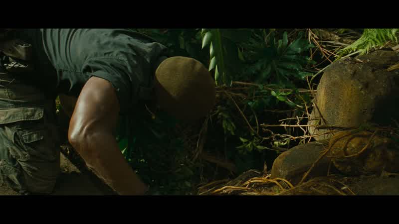 Krebs. Check this out. Rope, rope!