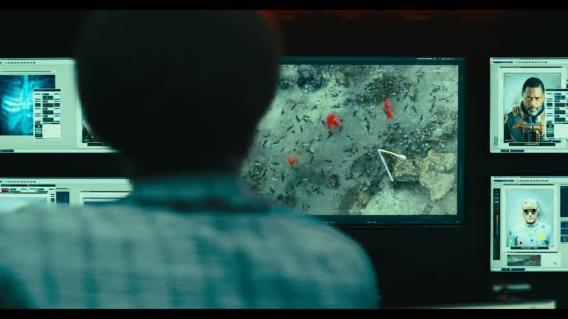 Krill, turn around now!