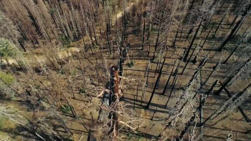 KRISTEN: 2020 was the biggest fire season on record