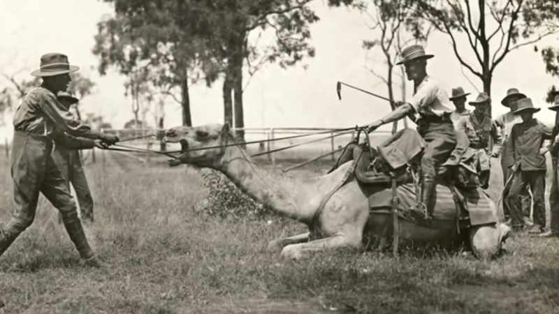 KUNTZ: The experiment was abandoned in 1866