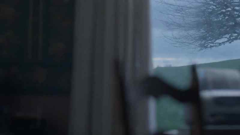 [Kyle] It's so green