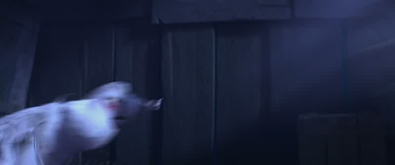 L can't fly!