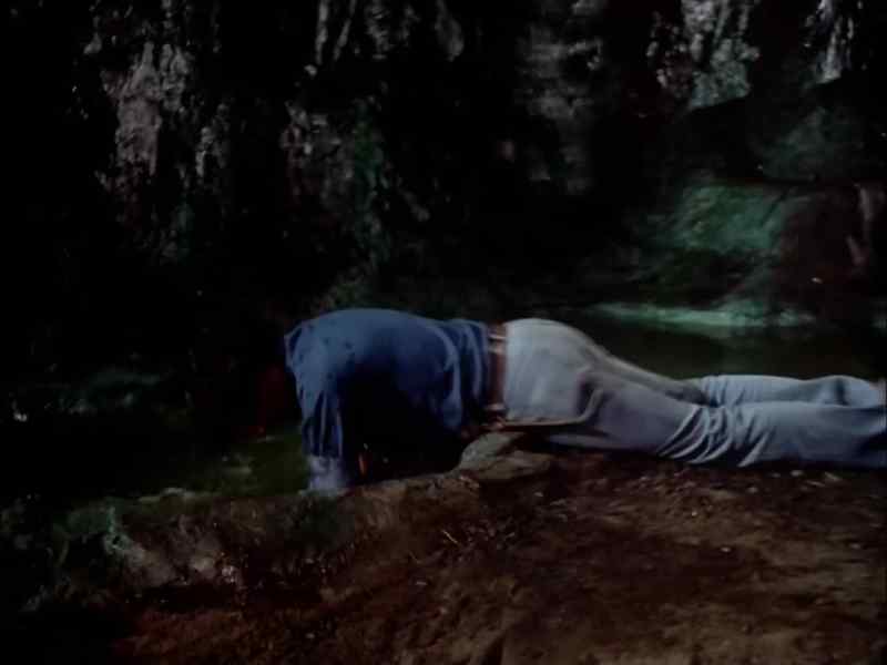 L- I killed him