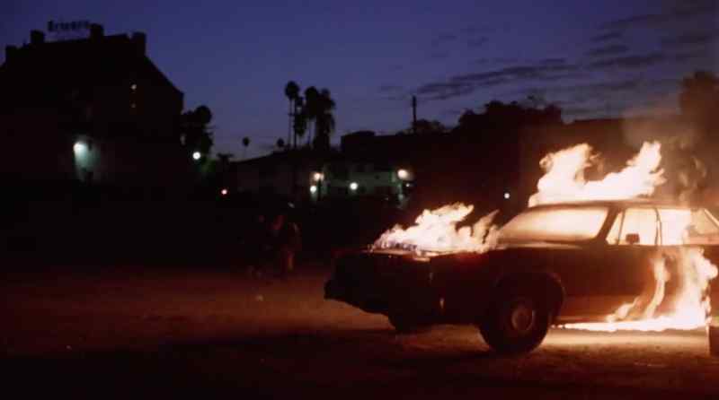 L loved that car