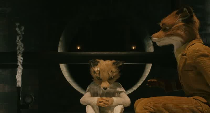 L tell you about finding out we were having a cub?